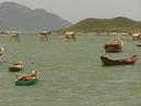 Fishing boats.